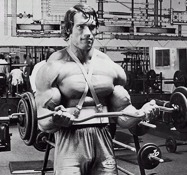 arnold bicep curls arnold bicep curls