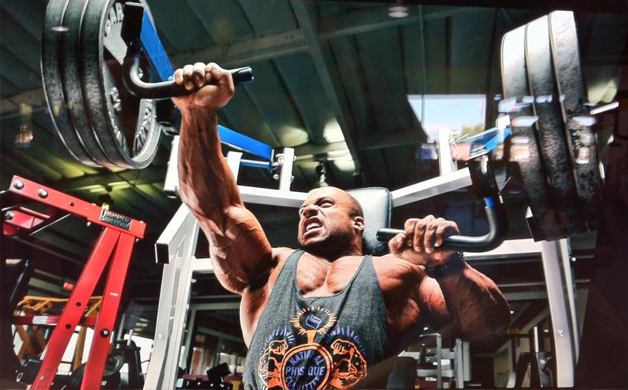 chest press machine chest press machine bodybuilder