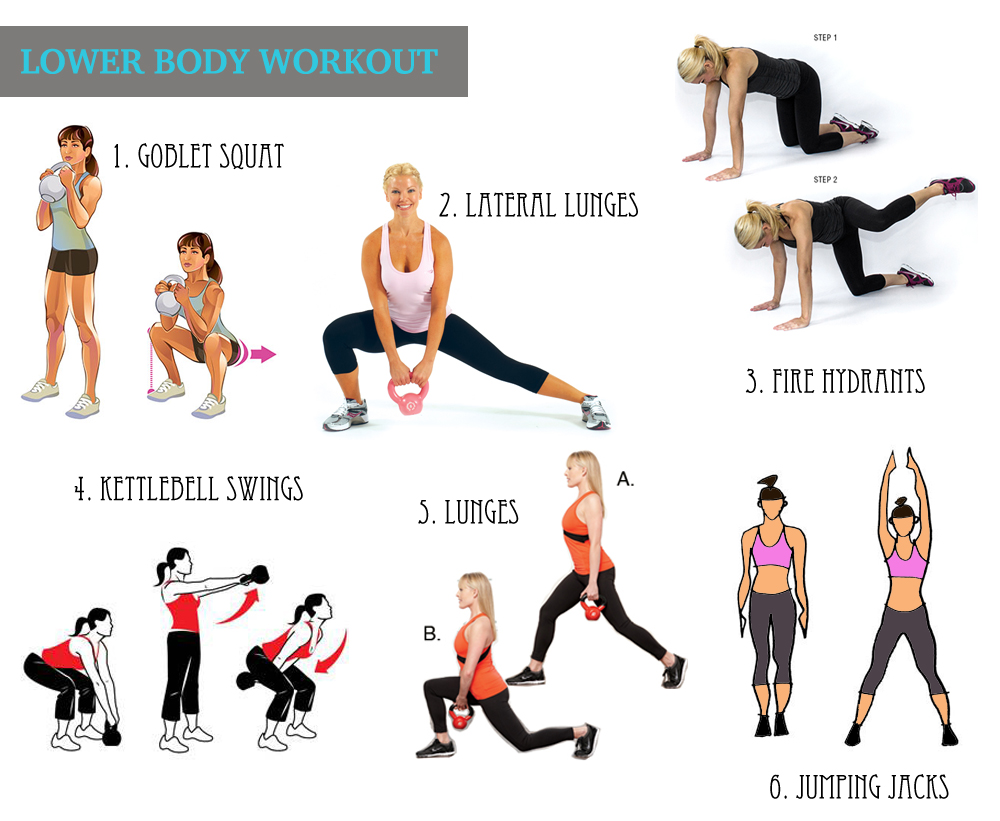 Lower Body Exercises  Fitness body, Lower body workout, Body  transformation workout